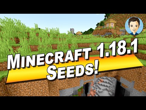 HTG George - How to Find and Use Minecraft 1.18.1 Seeds to Create New Worlds in Java