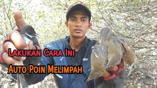 Download lagu Trik Jitu Pikat Burung Kerak Basi dan Sikatan Kipas||Coba Cara Ini||Dijamin 100%Ampuh mp3