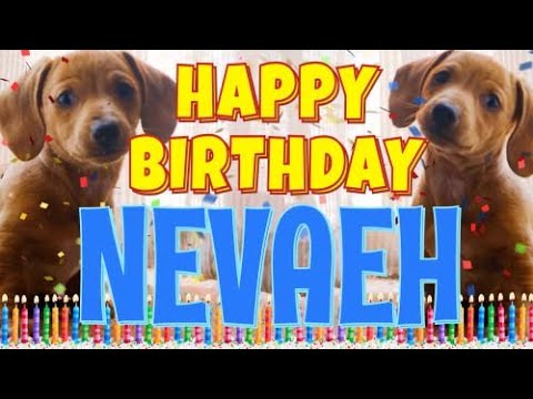Happy Birthday Nevaeh! ( Funny Talking Dogs ) What Is Free On My Birthday