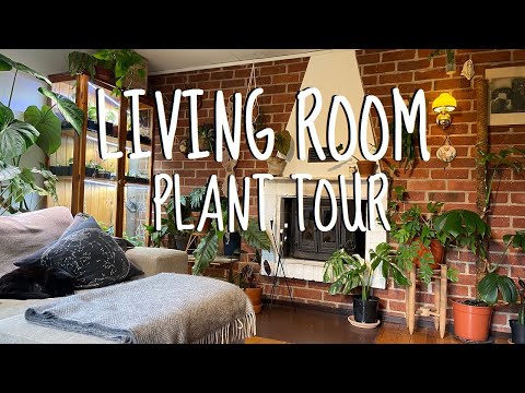 Houseplant tour Spring 2020 - My living room