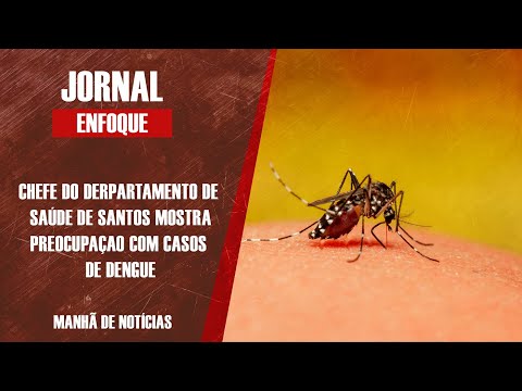 Santos está no grupo de ‘cenário alto’ para dengue e chikunguya