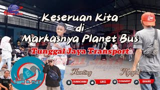 Download lagu Hunting di Garasi Tunggal Jaya Transport | Markasnya Bus Viral asal Kuningan | Planet Bus mp3