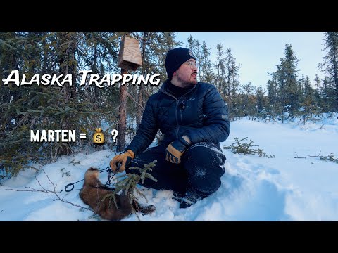 Trapping Marten/Sable. The New Luxury Fur  