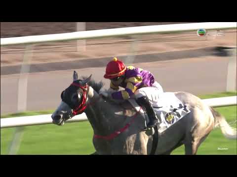 28/11/2021 (211) 銀馳 (E131) 波健士 其士盃