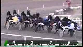 24/11/2013, Firenze , Premio Nello Bellei