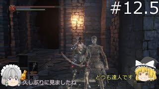 【ダークソウル３】パリィの出来ない初心者のダークソウルPART.12.5