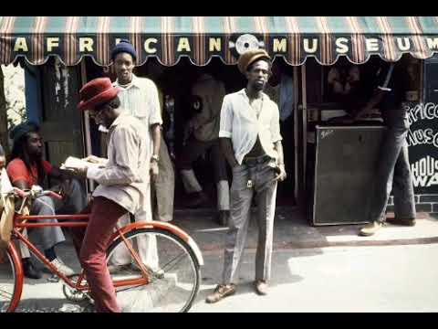 Mudie's All Stars-Jungle feeling