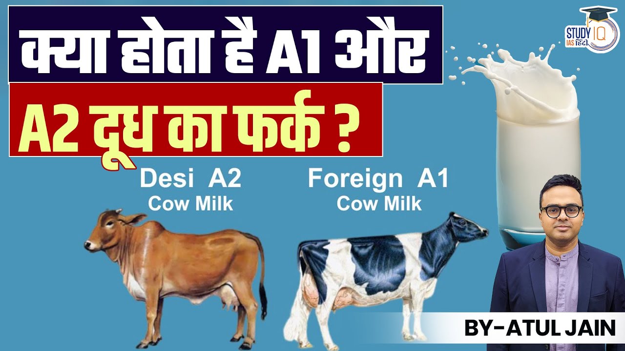 Understand The Difference Between A1 And A2 Milk! | Atul Jain | StudyIQ IAS Hindi
