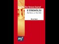 S ZÜNDHÖLZLI Mani Matter Arr Mario Bürki