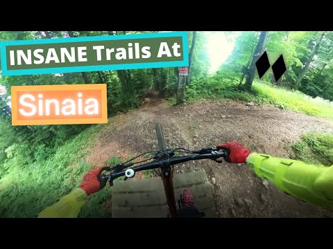 The INSANE Trails at Sinaia Bike Resort - Romania | leoyanisx