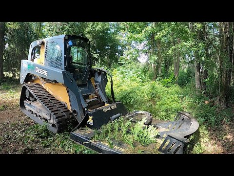 HELLS BELLS! 2 YEAR OVERGROWN NIGHTMARE CITY VIOLATION!