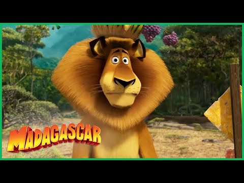 Capa de DreamWorks Madagascar | Alex Sai da Reserva | Madagascar: Escape 2 Africa Filme