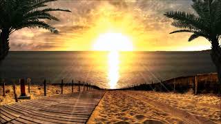 &quot;Sleepwalk&quot; performed by Jeff Beck (1985)