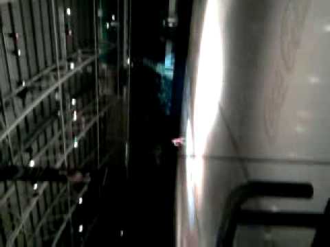 Fool In Love-Millie Paterson x