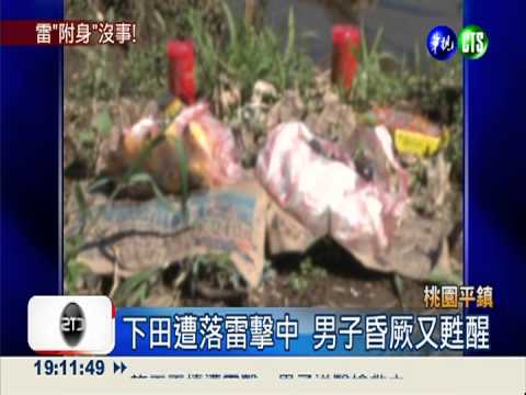 奇! 男下田遭雷擊 衣破洞人沒事