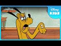 Mickey Mouse Tricks Pluto The Wonderful World Of Mickey Mouse Disneykids