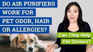 Do Air Purifiers Work for Pet Odor, Hair & Allergies? (Can They Help Pet Owners?)