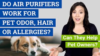 Do Air Purifiers Work for Pet Odor, Hair & Allergies? (Can T
