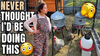 A Day In The Life of Our Backyard Farm 👩🏻🌾🐓