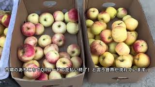 崇礼　夏の自由市場紹介。