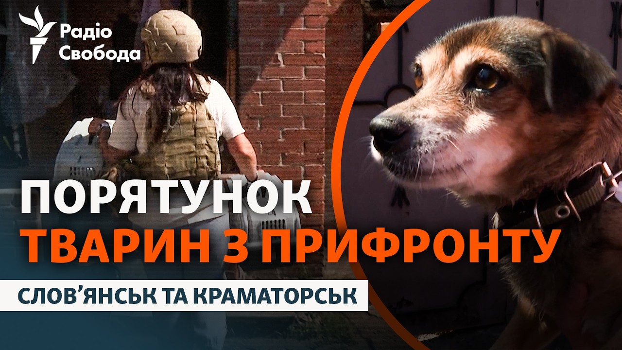 Волонтери вивозять тварин з прифронтових міст: евакуація у Слов’янську та К