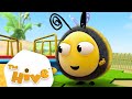 The Hive Full Episodes 30 MINUTES Episodes 1 5 The Hive Official