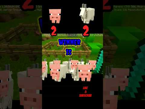 EPIC Minecraft Battle: Pig Vs Goat!!!