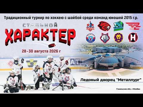 28.08.2026. СХ. 2015. Динамо Джуниверс-2 – Металлург