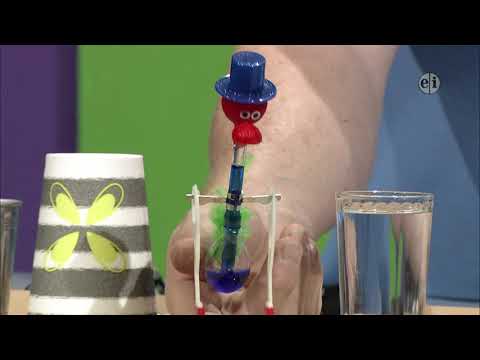 Homework Hotline: Why do we have fog in the summer?