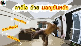 คาดิโอด้วยมอญยันหลัก/Cardio with kick boxing moves/Mon Yan Lak