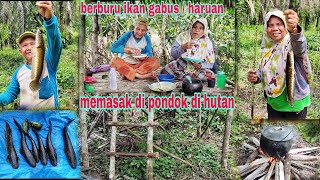 Download lagu SPOT BARU SARANG IKAN LAPAR || STRIKE IKAN GABUS MEMBUAT CANDU mp3