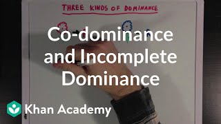 Co-dominance and Incomplete Dominance | Biomolecules | MCAT | Khan Academy