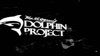 Matt Sorum - "The Sea" - Live at the Avalon