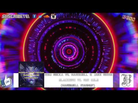 Row Rocka vs. Hardwell & Jake Reese - Blackbird vs. Run Wild (Hardwell Mashup)