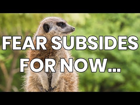 Stock Market Review! (March 2nd, 2020)