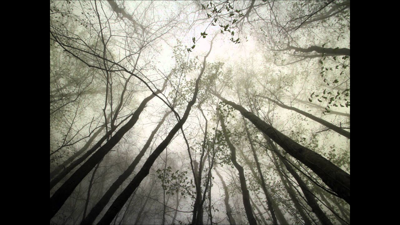 Halki Halki Si Baarish Lyrics  | Lamha | Pankaj Udhas | Pankaj Udhas | Pankaj Udhas