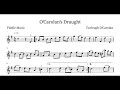 O'Carolan's Draught (Fiddle/Violin) - Sheet Music Play-Along