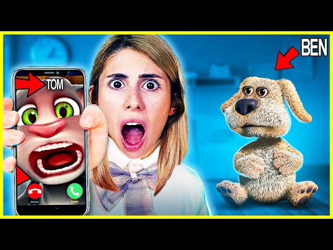 KÖPEĞİM MELO KAÇIRILDI DİLA KENT