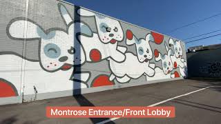 Wag'n World - 1616 Montrose Blvd, Virtual Tour Walk Through