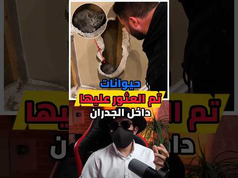 حيوانات تم العثور عليها داخل الجدران بالصدفة !!🤯