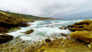 Pointe Biosnar 2022 06 11