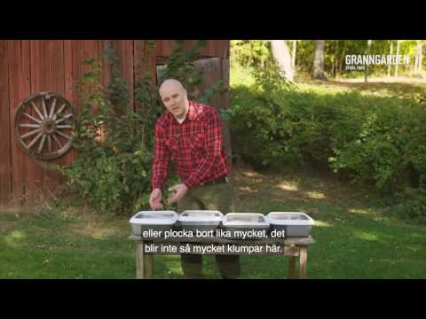 Så väljer du kattsand