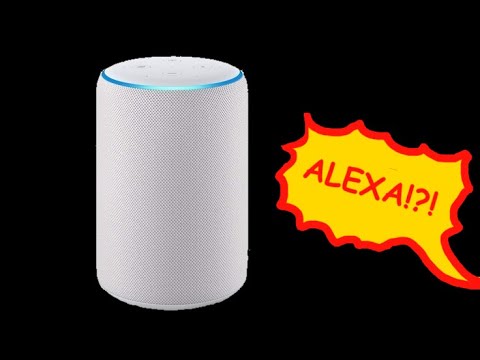 Alexa fa battute squallide sugli informatici
