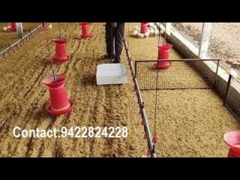 Poultry raking machine