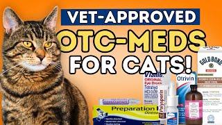 Vets Don’t Always Tell You These 7 OTC Meds for Cats!