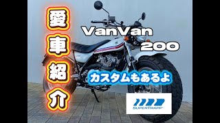 【SUZUKI  Van Van200 】愛車紹介！カスタムポイントも合わせて見てください！