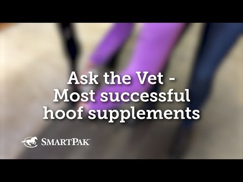 Ask the Vet - Most successful hoof supplements