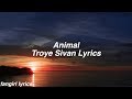 Animal Troye Sivan Lyrics