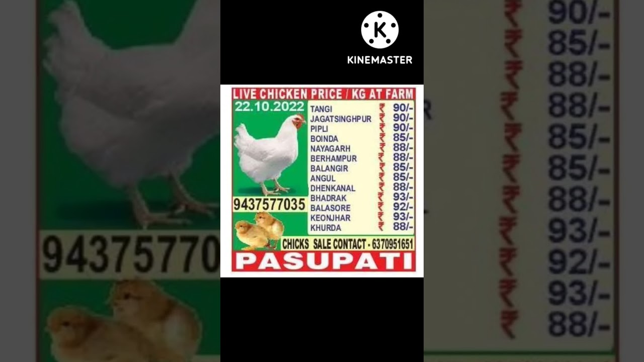 Watch video chicken rate all Odisha today Dt- 23.10.22//#broilerratetoday #suguna #broilerrate #poultry_farm Now chicken rate all Odisha today Dt- 23.10.22//#broilerratetoday #suguna #broilerrate #poultry_farm
