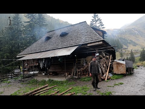 VIAȚA CIOBANILOR DIN MUNȚII FĂGĂRAȘ | CIOBĂNEȘTI BĂLANI FOARTE BUNI LA OI